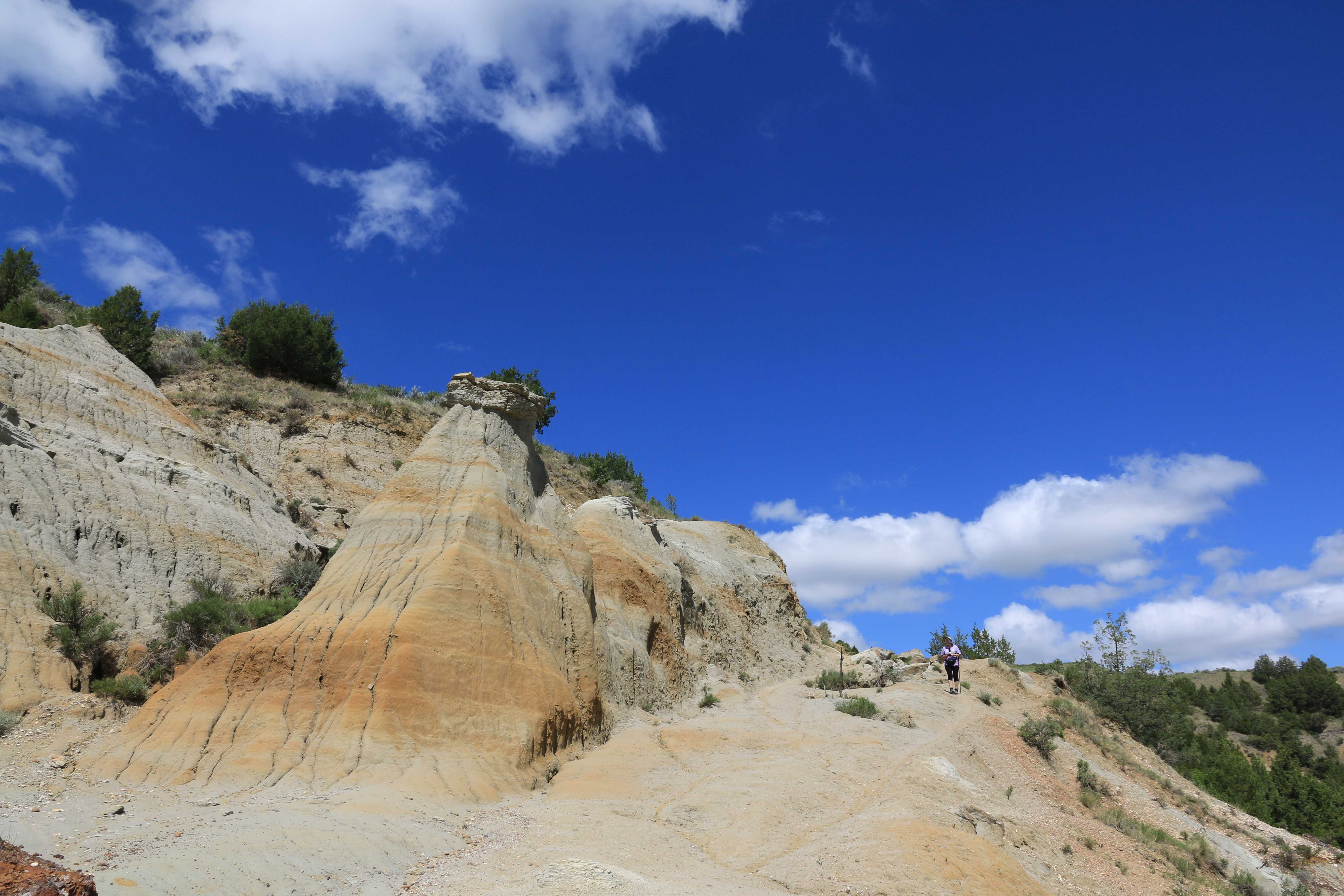 Theodore Roosevelt NP